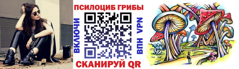 хочу наркоту Апшеронск Псилоцибиновые грибы Magic Shrooms