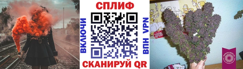 МАРИХУАНА ГИДРОПОН  сайты даркнета как зайти  Апшеронск 